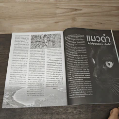 ตำนานสยาม ฉบับที่ 15 รูปที่ 8