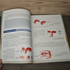 พื้นฐานการวาดภาพคนเหมือน แรเงา สีน้ำ ดินสอสีระบายน้ำ - ผู้ช่วยศาสตราจารย์มัย ตะติยะ รูปที่ 8