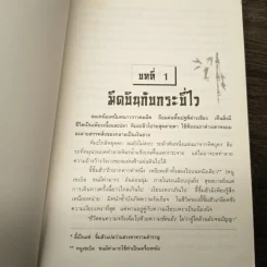 มีดบินไม่พลาดเป้า เล่ม 1-2 - โก้วเล้ง, น.นพรัตน์ รูปที่ 9