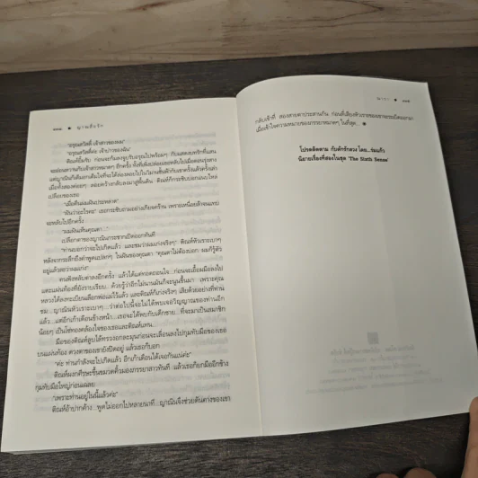 The Sixth Sense : ญาณสื่อรัก - ณารา รูปที่ 8