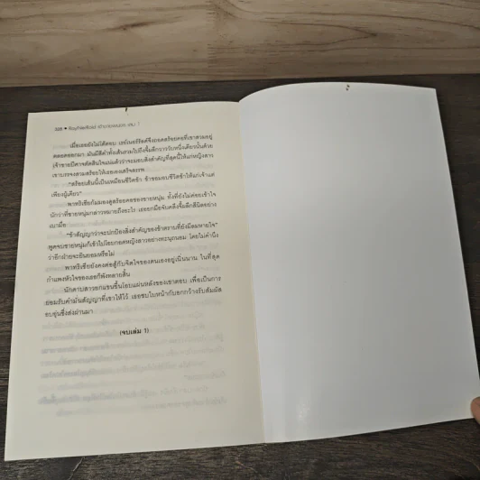 เจ้าชายพเนจร RayNerRold เล่ม 1 - LadyBlack รูปที่ 8