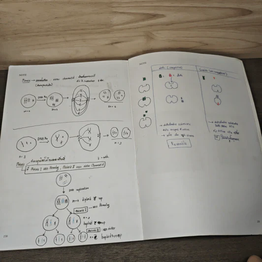 Basic Biology (OPD) - นพ.พิชญ์ สันติจิตรุ่งเรือง รูปที่ 10