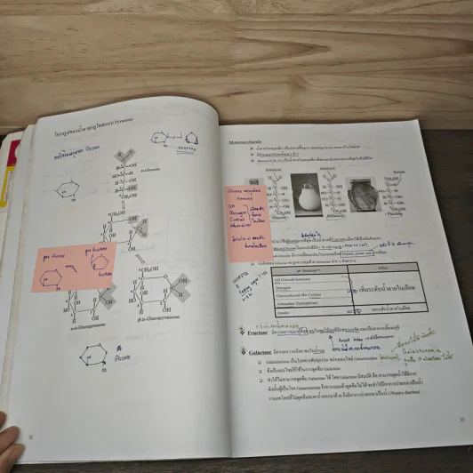 Basic Biology (OPD) - นพ.พิชญ์ สันติจิตรุ่งเรือง รูปที่ 9
