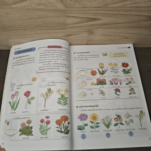 สารานุกรมวิทยาศาสตร์ เล่ม 1 รูปที่ 9