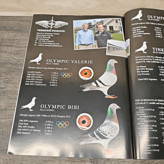 Olympic Special 2015 รูปที่ 9