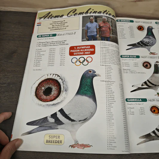 Olympic Special 2015 รูปที่ 7