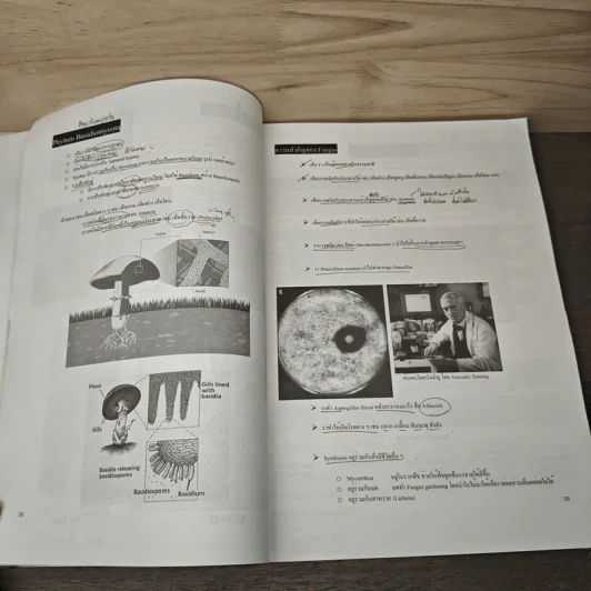 Biology for Entrance Biology of Annimals - นพ.พิชญ์ สันติจิตรุ่งเรือง รูปที่ 7