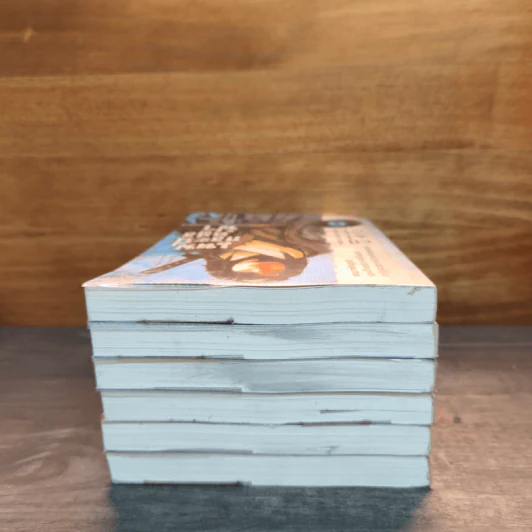 เทพกระบี่อสูรฟ้า เล่ม 1-6 - โช่ฮน, เทพอัคคี รูปที่ 5