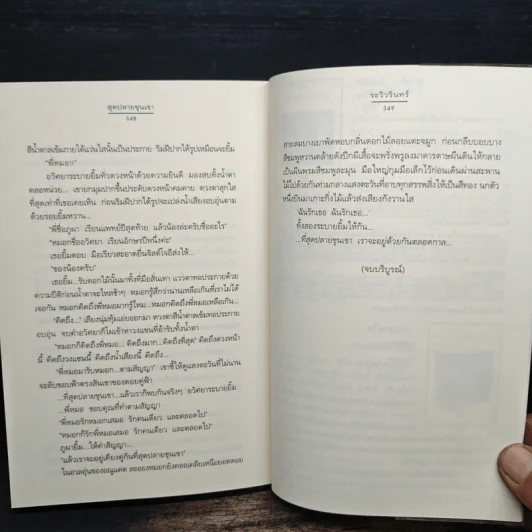 สุดปลายขุนเขา - ระวิวรินทร์ รูปที่ 8