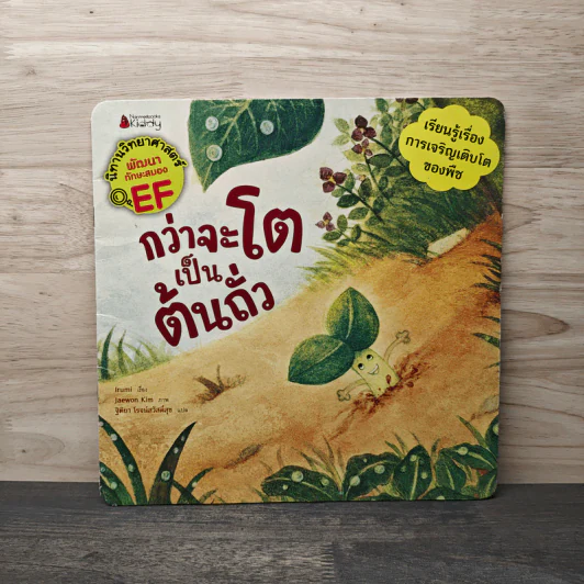 กว่าจะโตเป็นต้นถั่ว - Trumi รูปที่ 1