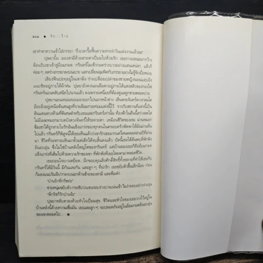 รัก...ร้าย - ณารา รูปที่ 8