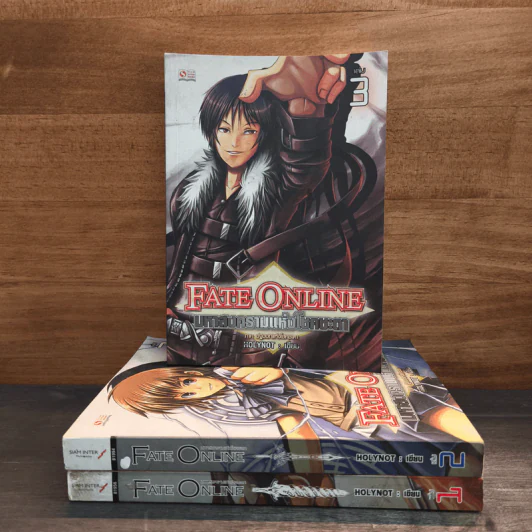 Fate Online มหาสงครามแห่งโชคชะตา เล่ม 1-3 - HOLYNOT รูปที่ 1