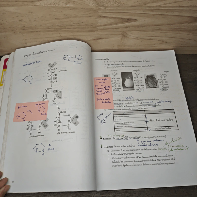 Basic Biology (OPD) - นพ.พิชญ์ สันติจิตรุ่งเรือง รูปที่ 9