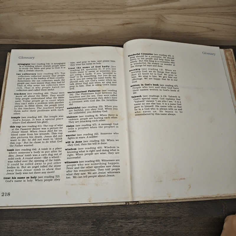 The Amazing Book : A Bible Translation for Young Readers - John R. Kohlenberger III, Noel Wescombe รูปที่ 10