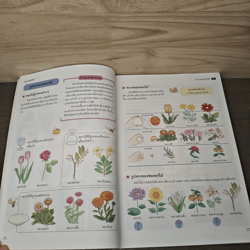 สารานุกรมวิทยาศาสตร์ เล่ม 1 รูปที่ 9