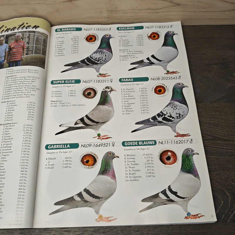 Olympic Special 2015 รูปที่ 8