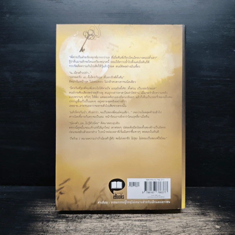 เพลงหัวใจในมนต์จันทร์ - Clair de Lune รูปที่ 2
