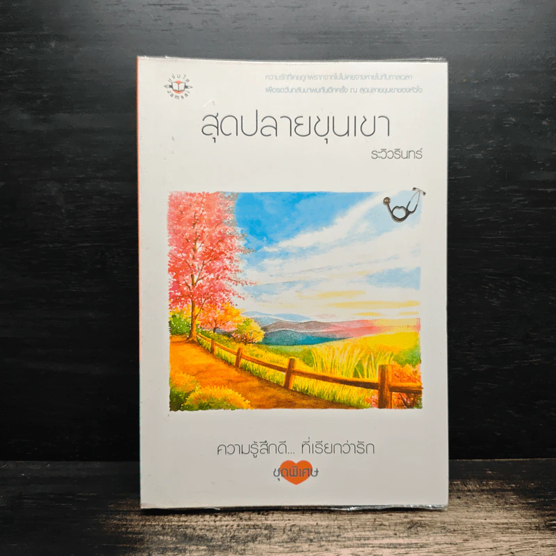 สุดปลายขุนเขา - ระวิวรินทร์ รูปที่ 1