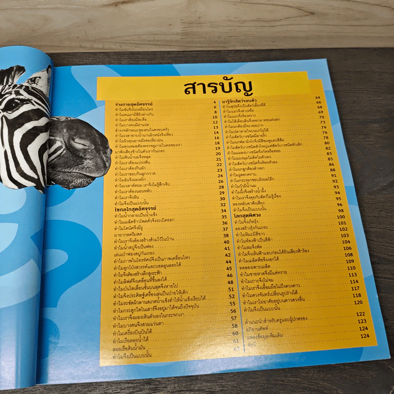 National Geographic Kids ชวนสงสัยทำไมเป็นแบบนี้ - Amy Shields รูปที่ 6