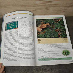 Advanced Thailand Geographic ปีที่ 8 ฉบับที่ 61 ก.พ. 2546 รูปที่ 8