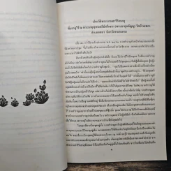พระธาตุกตัญญู และ มีหลักฐานว่าพระสัมมาสัมพุทธเจ้า เคยเสด็จสู่ภาคเหนือของไทย - น.พ.ชัยเยนทร์ รัตนวิจารณ์ รูปที่ 8
