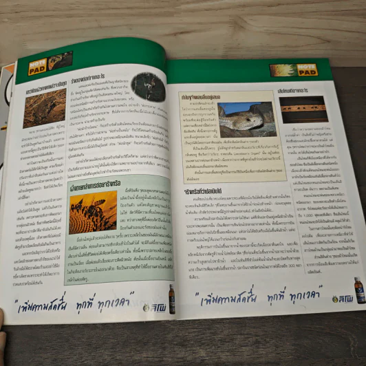 Advanced Thailand Geographic ปีที่ 5 ฉบับที่ 40 มี.ค.-เม.ย.2543 รูปที่ 8