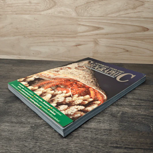 Advanced Thailand Geographic ปีที่ 5 ฉบับที่ 39 รูปที่ 4