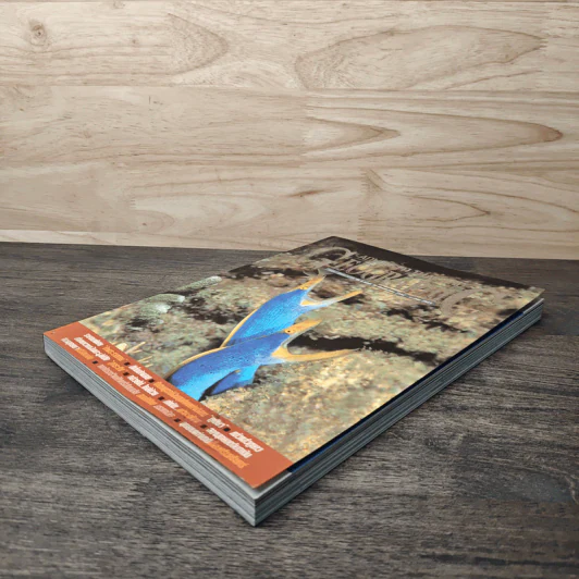 Advanced Thailand Geographic ปีที่ 4 ฉบับที่ 38 ธ.ค.2564-ม.ค.2543 รูปที่ 4