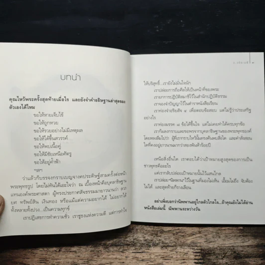 นิพพานระหว่างวัน - ว.วชิรเมธี รูปที่ 9