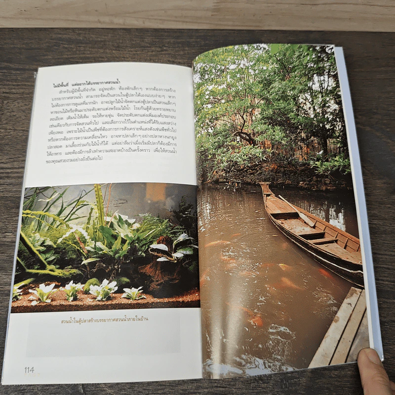 มือใหม่จัดสวนน้ำ Easy Water Garden - ทิพาพรรณ ศิริเวชฎารักษ์ รูปที่ 9