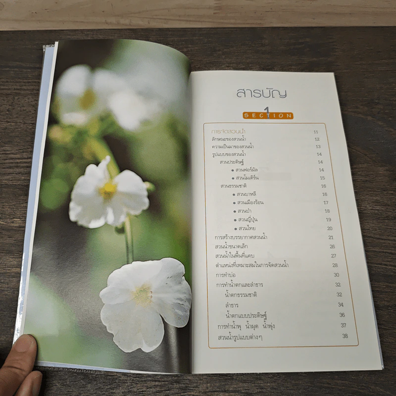 มือใหม่จัดสวนน้ำ Easy Water Garden - ทิพาพรรณ ศิริเวชฎารักษ์ รูปที่ 7