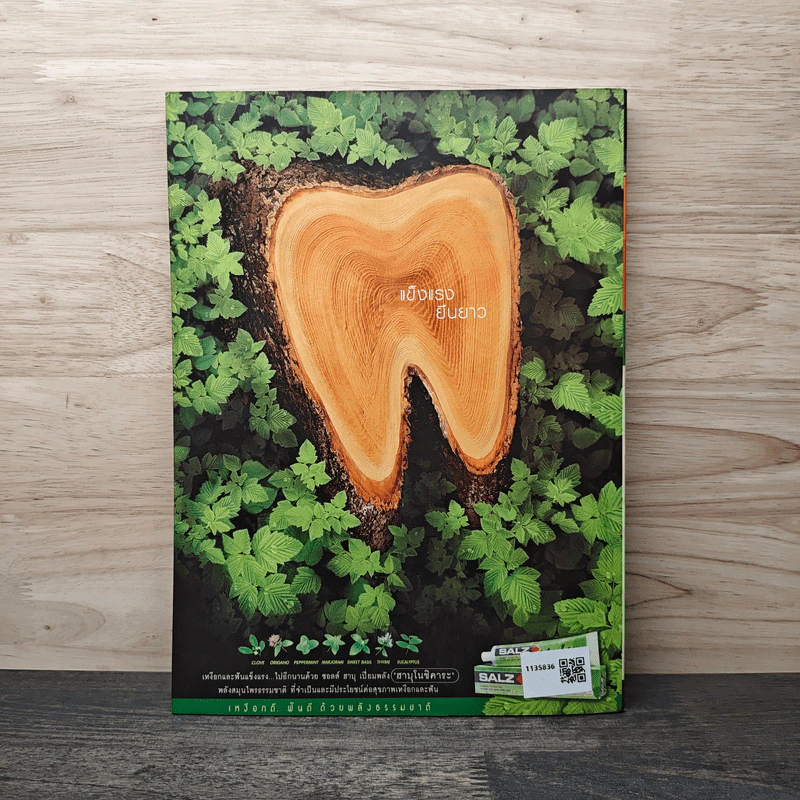Advanced Thailand Geographic ปีที่ 8 ฉบับที่ 57 มิ.ย.2545 รูปที่ 6