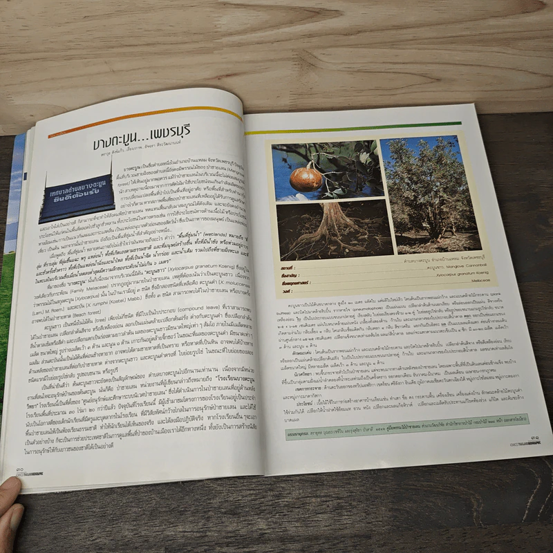 Advanced Thailand Geographic ปีที่ 8 ฉบับที่ 62 มี.ค.2546 รูปที่ 11