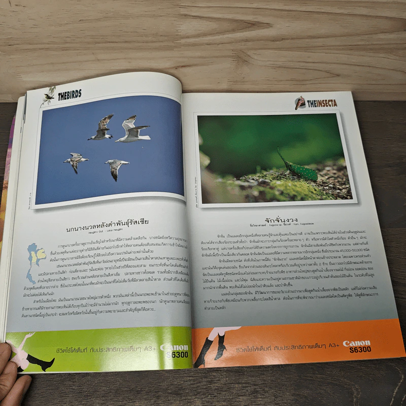 Advanced Thailand Geographic ปีที่ 7 ฉบับที่ 50 ม.ค.2545 รูปที่ 11
