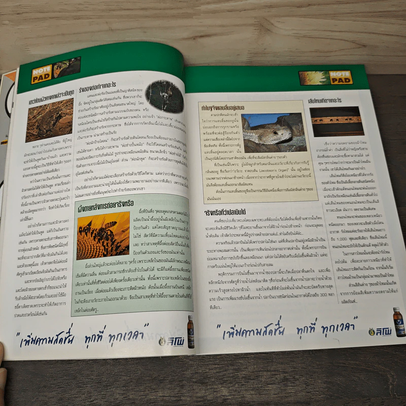 Advanced Thailand Geographic ปีที่ 5 ฉบับที่ 40 มี.ค.-เม.ย.2543 รูปที่ 8