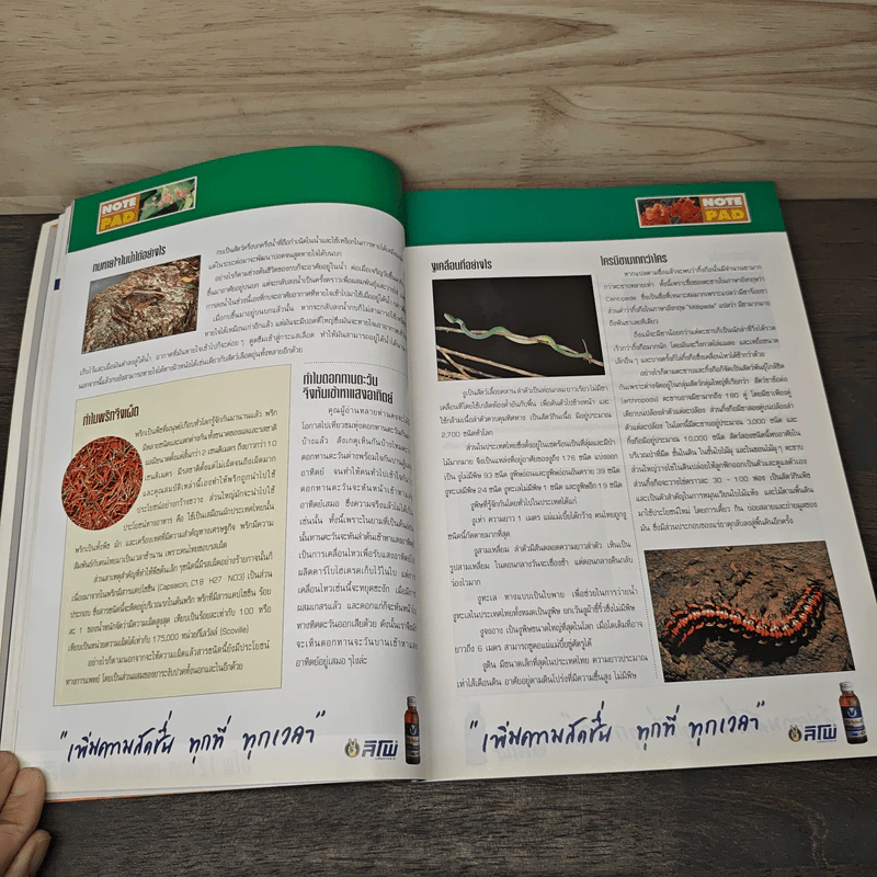 Advanced Thailand Geographic ปีที่ 5 ฉบับที่ 39 รูปที่ 8