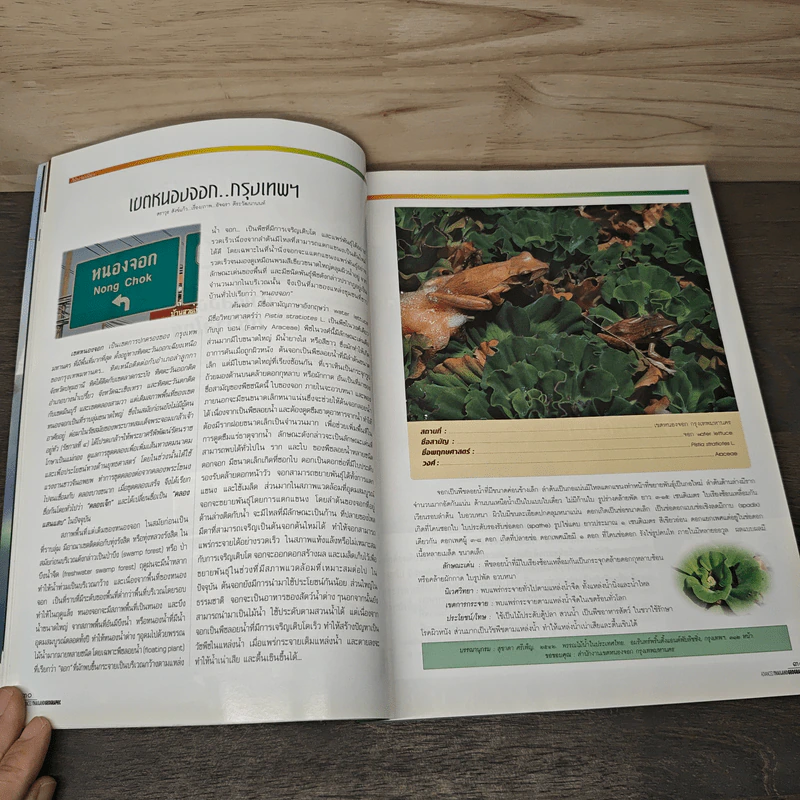 Advanced Thailand Geographic ปีที่ 8 ฉบับที่ 61 ก.พ. 2546 รูปที่ 8