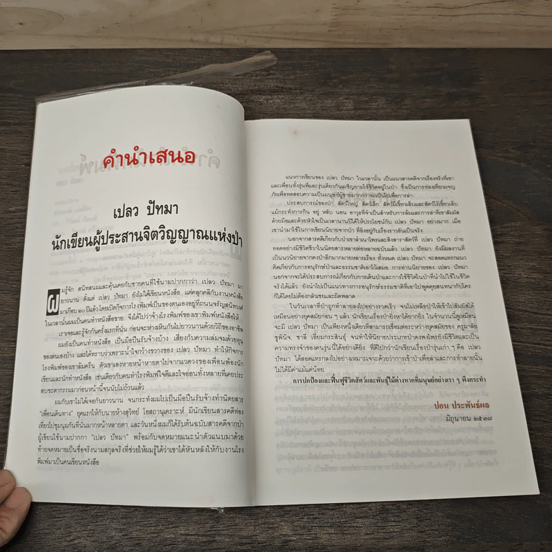 จอมไอยรา - เปลว ปัทมา รูปที่ 8