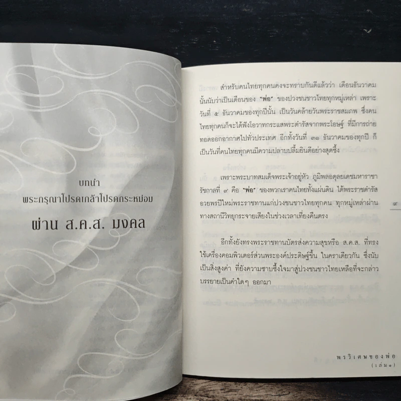 พรวิเศษของพ่อ - ภานุศร เครือปัญญาดี รูปที่ 8
