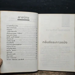 กลิ่นสีและกาวแป้ง - พิษณุ ศุภ รูปที่ 7