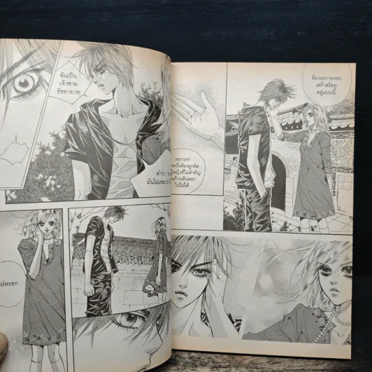 การ์ตูน เจ้าหญิงจอมจุ้นกับรักวุ่นๆในวัง 12 รูปที่ 8