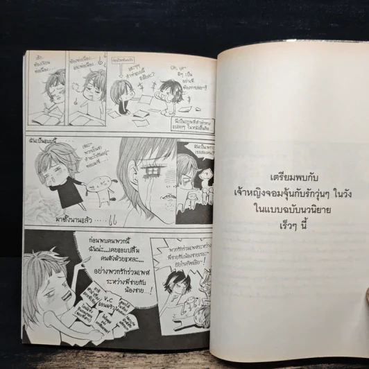 การ์ตูน เจ้าหญิงจอมจุ้นกับรักวุ่นๆในวัง เล่ม 3 รูปที่ 8