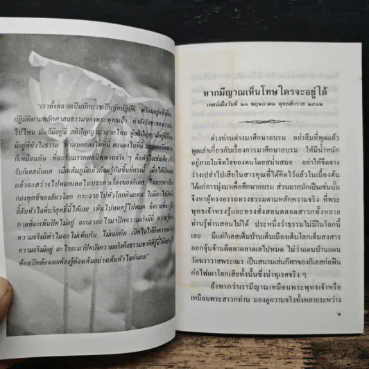ผู้บูชาตถาคต - พระราชญาณวิสุทธิโสภณ (ท่านอาจารย์พระมหาบัว ญาณสัมปันโน) รูปที่ 8