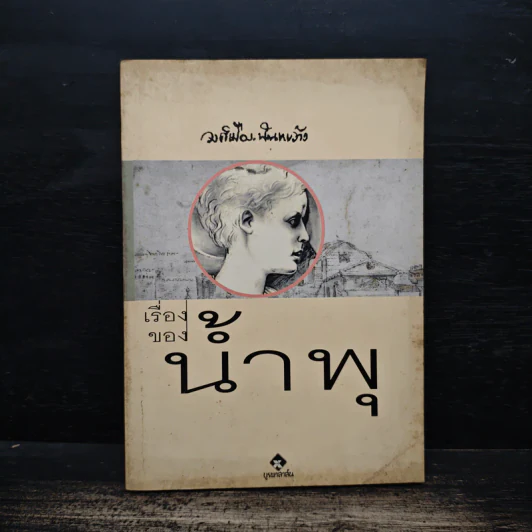 เรื่องของน้ำพุ - วงศ์เมือง นันทขว้าง รูปที่ 1