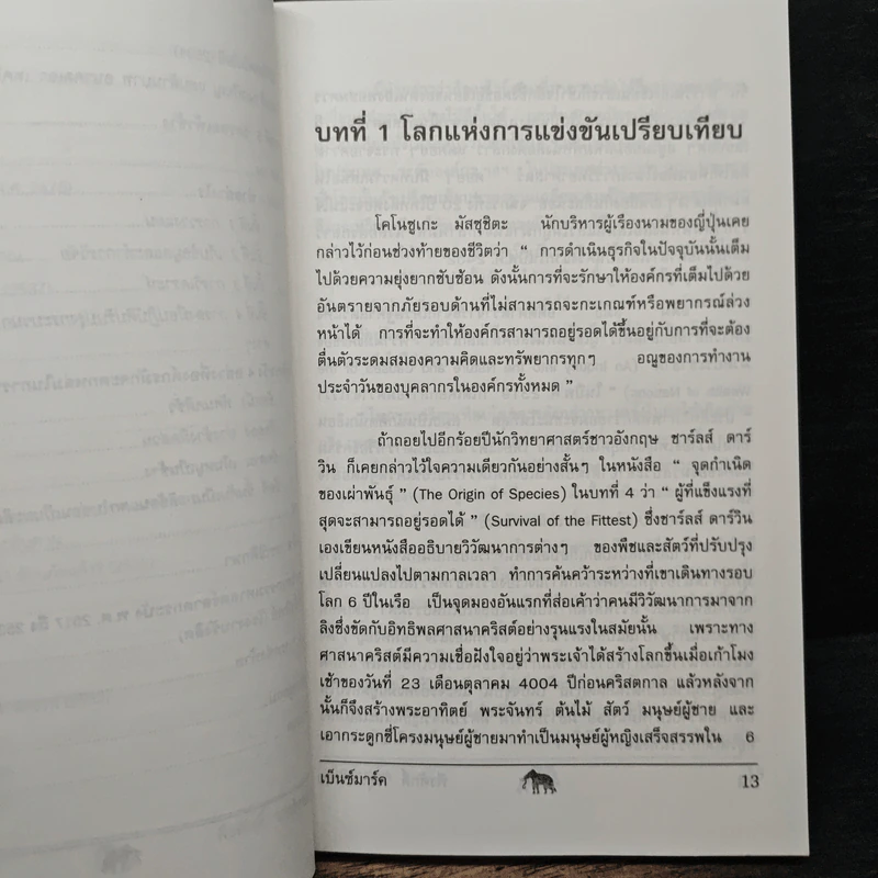 วัดรอยเท้าช้าง - พีรศักดิ์ วรสุนทรโรสถ รูปที่ 9