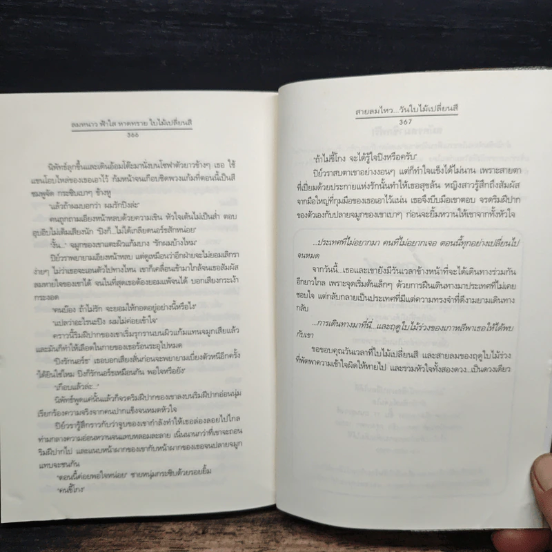 ลมหนาว ฟ้าใส หาดทราย ใบไม้เปลี่ยนสี - ตัว Z, พิมลพัทธ์ รูปที่ 9