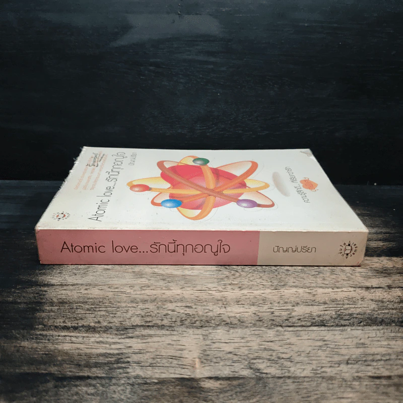 Atomic love...รักนี้ทุกอณูใจ - ปัญญ์ปรียา รูปที่ 3