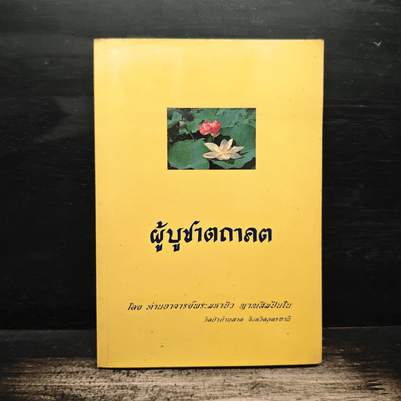 ผู้บูชาตถาคต - พระราชญาณวิสุทธิโสภณ (ท่านอาจารย์พระมหาบัว ญาณสัมปันโน) รูปที่ 1