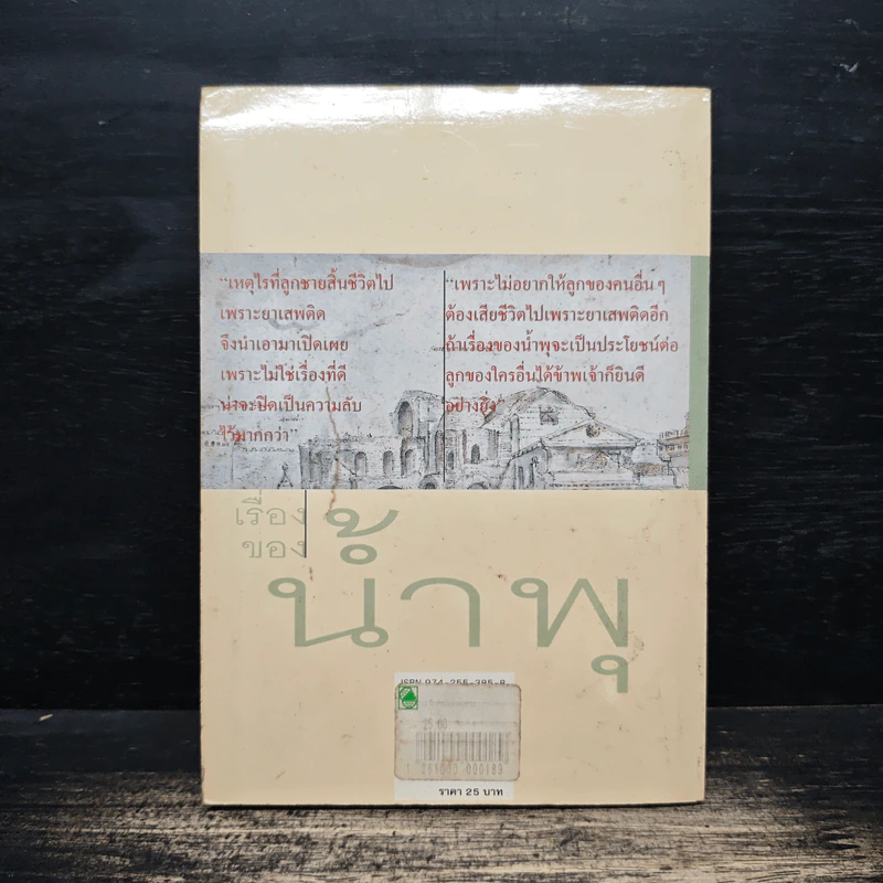 เรื่องของน้ำพุ - วงศ์เมือง นันทขว้าง รูปที่ 2