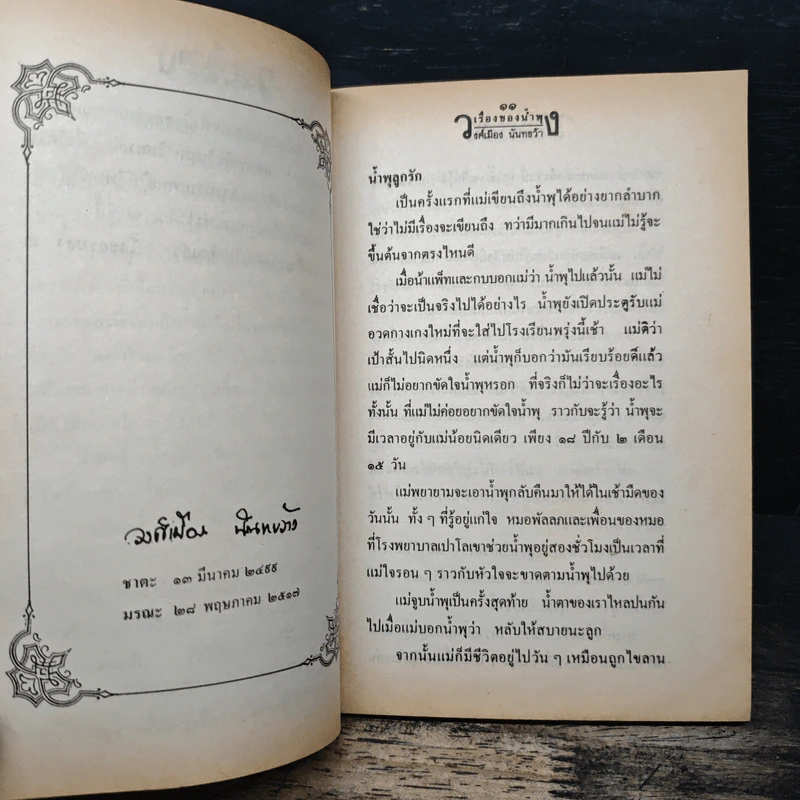 เรื่องของน้ำพุ - วงศ์เมือง นันทขว้าง รูปที่ 7